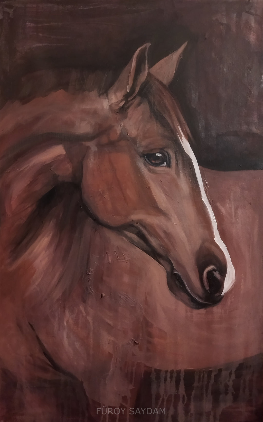 Horses