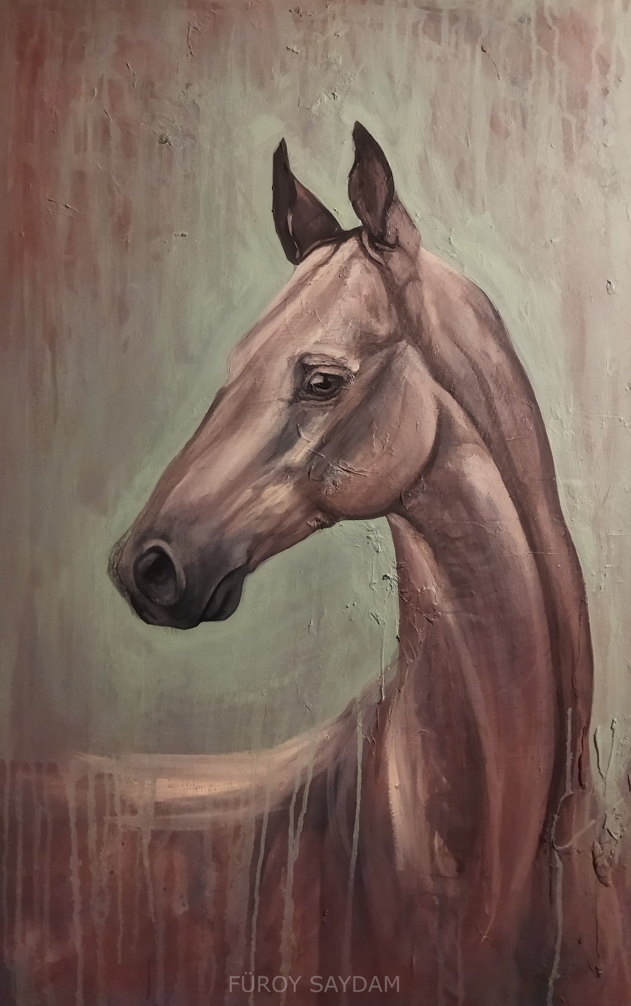 Horses
